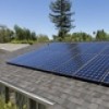 Solar: Go Green to Save Green