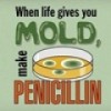 Why MOLD Is Not a 4-Letter Word