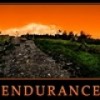 Endurance - The Missing Ingredient in Your Mindset