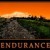 Endurance - The Missing Ingredient in Your Mindset