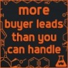 More Buyer Leads Than You Can Handle