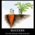 What Is Success?  You Tell Me